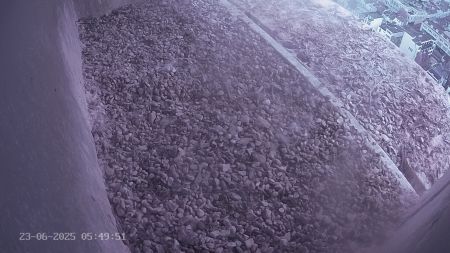 Sussex Heights Peregrine Falcons Webcam Image 23 Jun 2025 05:49:52