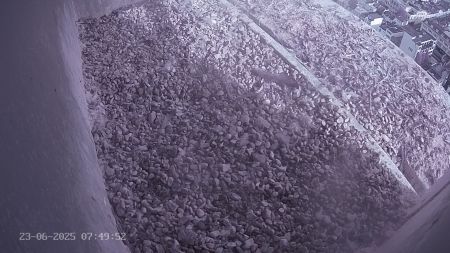 Sussex Heights Peregrine Falcons Webcam Image 23 Jun 2025 07:49:52