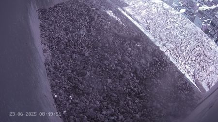 Sussex Heights Peregrine Falcons Webcam Image 23 Jun 2025 08:49:52
