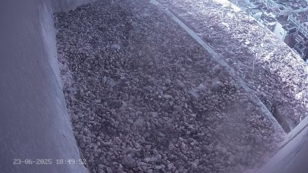 Sussex Heights Peregrine Falcons Webcam Image 23 Jun 2025 18:49:52