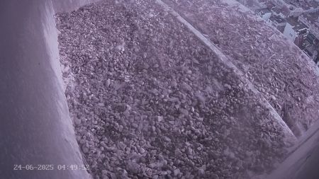 Sussex Heights Peregrine Falcons Webcam Image 24 Jun 2025 04:49:52