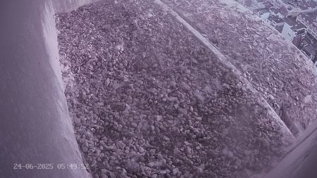 Sussex Heights Peregrine Falcons Webcam Image 24 Jun 2025 05:49:52