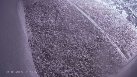 Sussex Heights Peregrine Falcons Webcam Image 24 Jun 2025 07:49:52