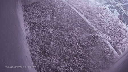 Sussex Heights Peregrine Falcons Webcam Image 24 Jun 2025 10:49:52