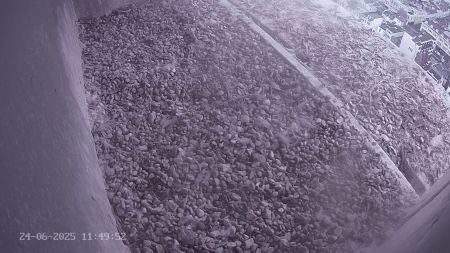 Sussex Heights Peregrine Falcons Webcam Image 24 Jun 2025 11:49:52