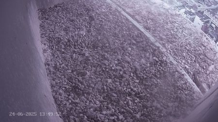 Sussex Heights Peregrine Falcons Webcam Image 24 Jun 2025 13:49:52