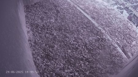 Sussex Heights Peregrine Falcons Webcam Image 24 Jun 2025 14:49:52