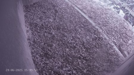 Sussex Heights Peregrine Falcons Webcam Image 24 Jun 2025 15:49:52