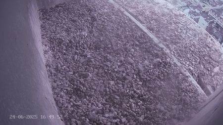 Sussex Heights Peregrine Falcons Webcam Image 24 Jun 2025 16:49:52